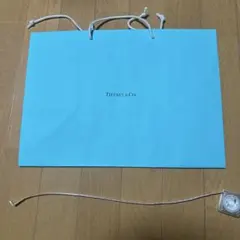 Tiffany & Co. ショップ袋 大サイズ 水色のサムネイル