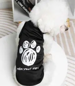 Item thumbnail for item cc5f590d-898f-4880-96e2-b8a5abc4299a