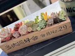 Betty2020様 リクエスト 2点 まとめ商品