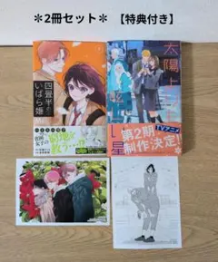 ✽hassy様専用✽太陽よりも眩しい星 13巻【特典付き】