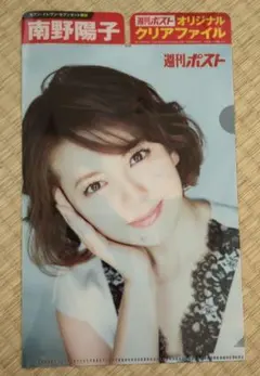 南野陽子 週刊ポスト オリジナルクリアファイル③ - メルカリ