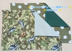 新品ランチョンマット2枚セット《No. SB37》