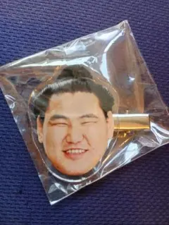 豊昇龍【新品】ヘアピン
