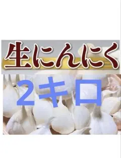 大粒生ニンニク バラ2kg新物青森県産にんにく ホワイト六片種にんにく 