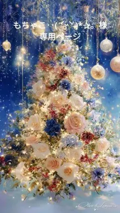 ❤もちゃこ‥( ˊᵕˋ )*✰。様専用ページ❤