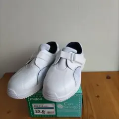 Item thumbnail for item 07643909-3003-487f-a774-79bdd213db2e