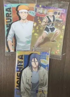 WIND BREAKERウィンドブレーカーウエハース2