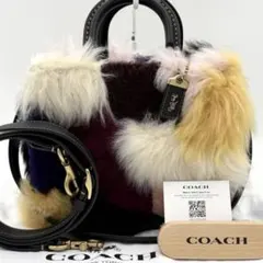 【極美品】コーチ ローグ20 パッチワーク ファー 3way マルチカラー