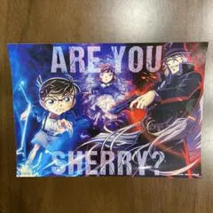 ✨非売品✨劇場版 名探偵コナン 黒鉄の魚影　ステッカー