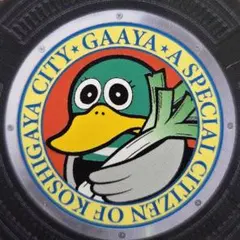 マンホールカード 埼玉県 越谷市 ガーヤちゃん 〈まとめ割引します〉