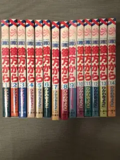 彼方から　全巻セット　全14巻　ひかわきょうこ