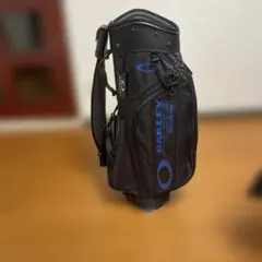 Item thumbnail for item 6d136f18-db0a-4ca9-ad15-3171f5f49d93