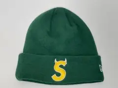 【極美品】Supreme × New Era　ツノ　S Logo　Beanie