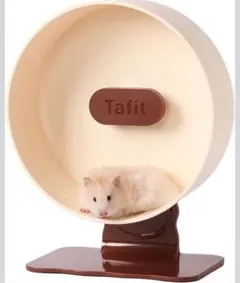 Item thumbnail for item dc481815-19fc-4951-bc9d-e8fce55021ae