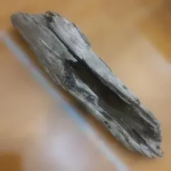 Item thumbnail for item 247d4afc-2193-4f8e-9e4d-4c75d0fa4838