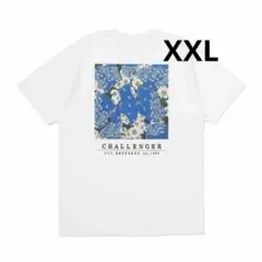 VERDY × kit gallery × Wasted Youth XXL - メルカリ
