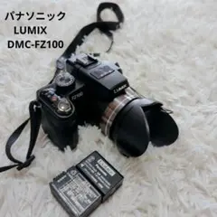 2026年最新】LUMIX FZ100の人気アイテム - メルカリ