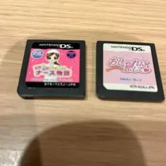 Nintendo DS 2点