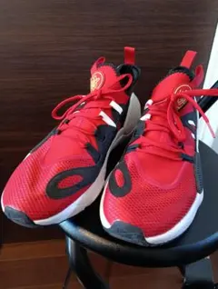 ナイキ　NIKE　レッド/ブラック スニーカー