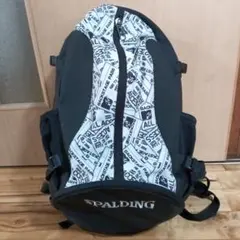 Item thumbnail for item 5a2f6e75-a5d1-4faf-a9de-f7279c03622e