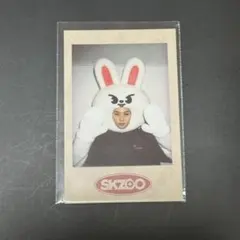 straykids スキズ リノ skzoo ポラロイド トレカ