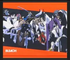 2025年最新】護廷十三隊の人気アイテム - メルカリ