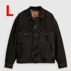 Levi's® x Jordan Type III Trucker Jacket