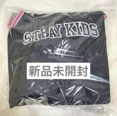 スキズ アプグレグッズ エコパ dominATE