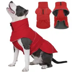 Item thumbnail for item 4cdf04f6-1a22-480a-9247-1fdfd64f5991