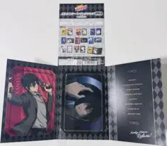 REBORN リボーン L版イラストシートXANXUS 2枚入り