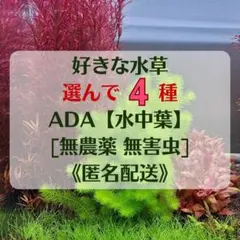 超メルカリ市お値下げ⭐︎ ADA アクアデザインアマノ　アクアスカイ602 廃盤品 2026年最新】ada アクアデザインアマノの人気アイテム - メルカリ