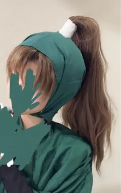 忍たま乱太郎 善法寺伊作 コスプレ 衣装 ウィッグ