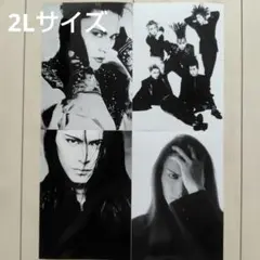 2026年最新】櫻井敦司 ブロマイドの人気アイテム - メルカリ