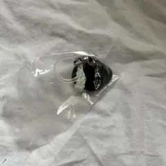 ONE PIECE ワンピース　めじるしアクセサリー2 ミホーク