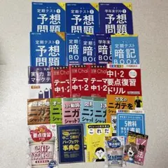 駿台 竹岡広信先生 よくばり英作文〈新装版〉 河合塾 鉄緑会 東進