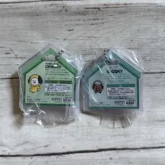 BT21 パッケージチャーム