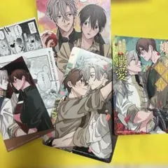 氷の城壁 11 初版 帯、シュリンク、特典付き - メルカリ