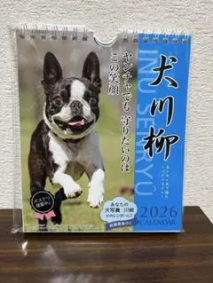 Item thumbnail for item 5022ecb7-1aa1-41a1-a41b-ad99fbc3148d