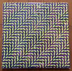 ANIMAL COLLECTIVE 2LP UK盤