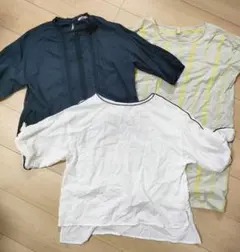 Item thumbnail for item 2a687f07-f0c5-4bd1-be29-2c6d5d4299aa