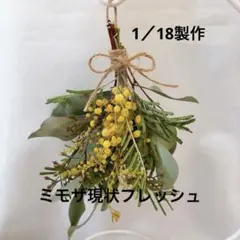 Item thumbnail for item 2c8808b3-e2a2-4b59-963f-8f7f0d1b0bc4