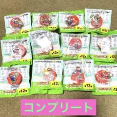 ☆全１２種フルコンプ☆スーパーマリオブラザーズ ３５周年 ボトルマーカー セブン