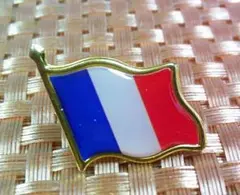 《BPはためくFR旗》激渋フランス国旗フラッグ　サッカー　Franceピンバッジ