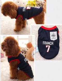 Item thumbnail for item 11112984-73bd-49f8-938e-6bb62901cff2