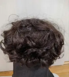 Item thumbnail for item 43d21aff-7b8d-4863-9b53-09c9d1064997