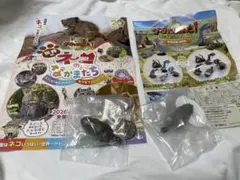 マヌルネコ 2種セット科博×ダーウィンが来た！ ×海洋堂限定ガチャフィギュア