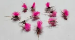 Item thumbnail for item a8892066-8bd1-4322-a651-f1117a8ae0f1