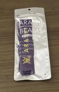 ☆みぃ☆ 様専用袋なし 嵐を旅する展覧会 ラゲッジマーク 赤3緑3 beams