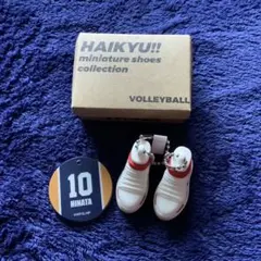 ハイキュー！！ミニチュアシューズコレクション 日向翔陽