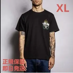 ❗️期間限定SALE❗️ステューシー リースTシャツ ブラックXL